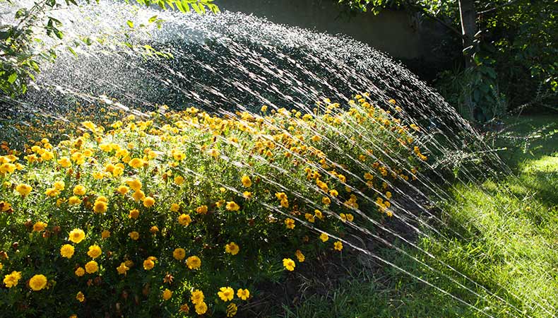 Come irrigare il giardino in 4 mosse con un impianto di irrigazione interrato - Gruppo Made