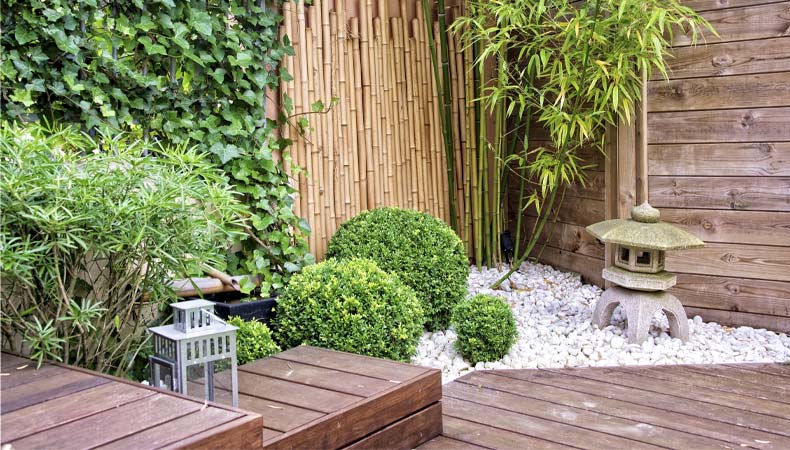 Come abbellire un muro di cemento in giardino: 6 idee originali