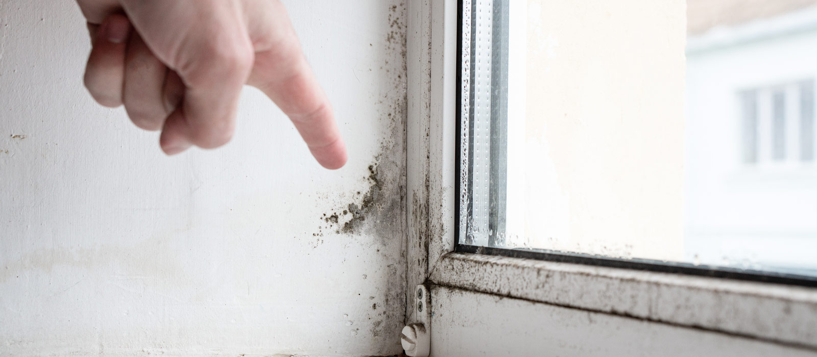 6 soluzioni per evitare la condensa su muri e finestre