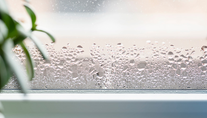 6 soluzioni per evitare la condensa su muri e finestre