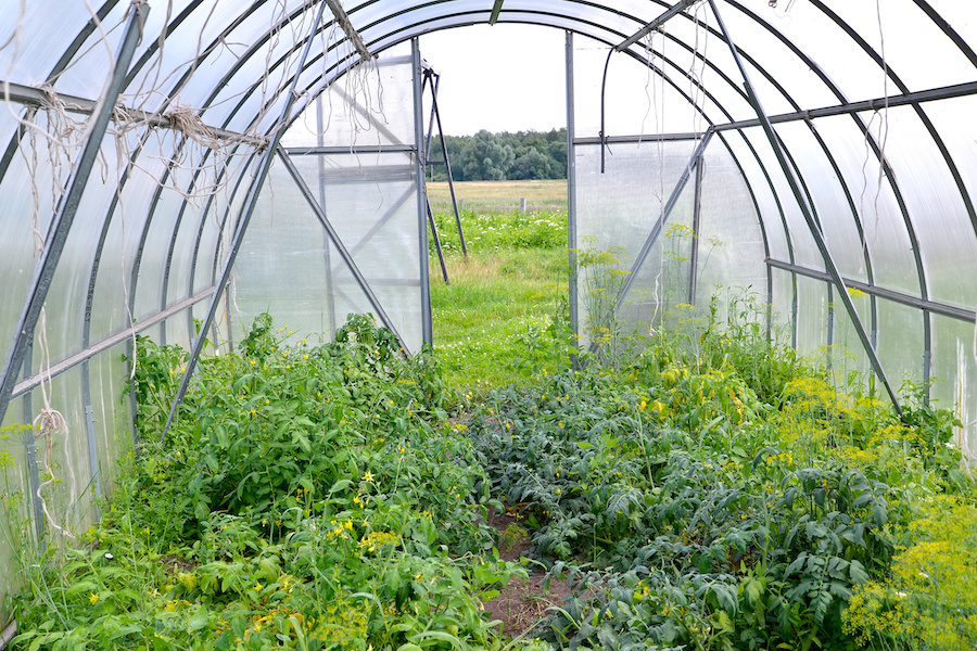 Come utilizzare il policarbonato alveolare?