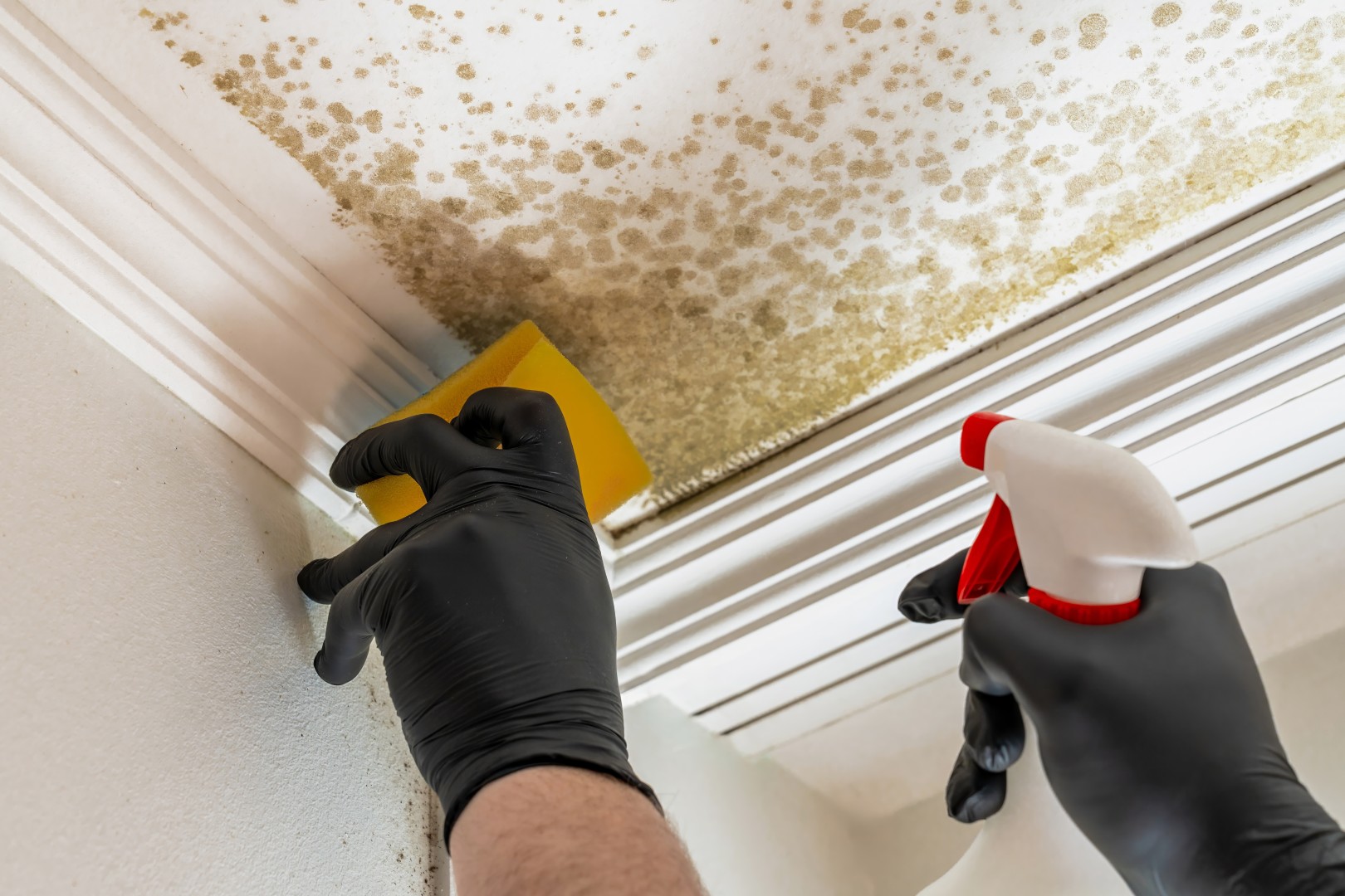Come eliminare la muffa sui muri interni casa Come eliminare la muffa sui muri interni casa